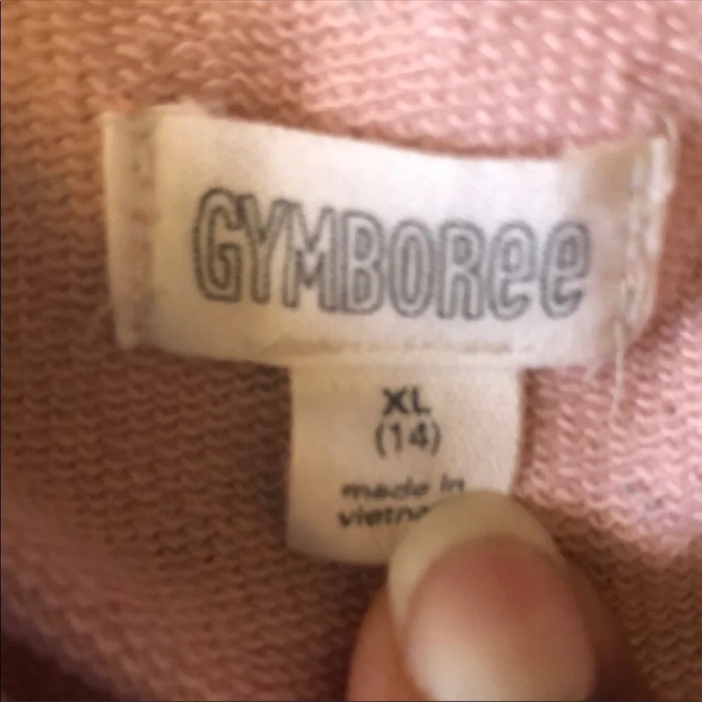 Girl’s Pink Gymboree Dress size 14